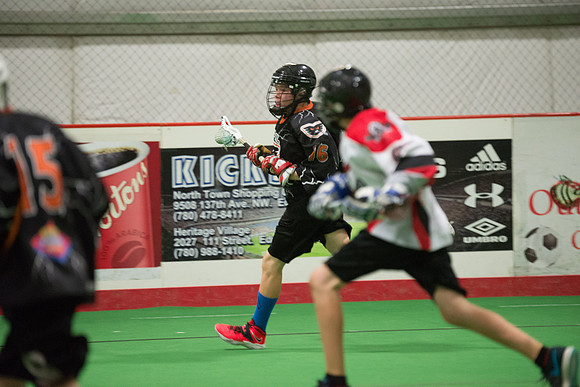 Capital Cup-9547