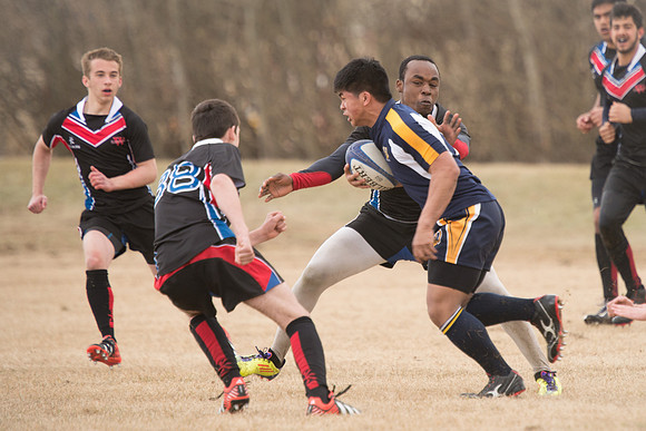 Rugby-7236