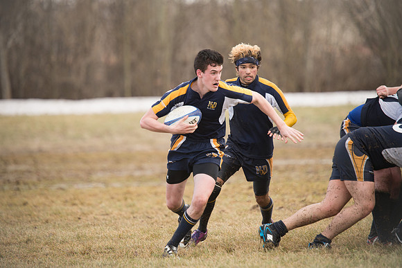 Rugby-7193
