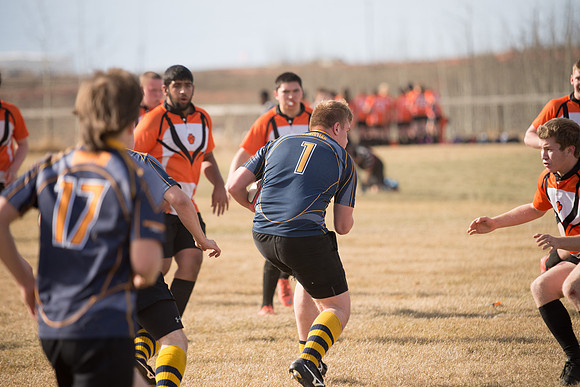 Rugby-7001