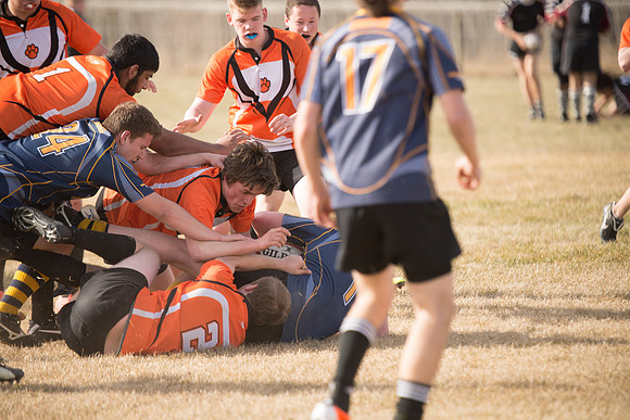 Rugby-7003