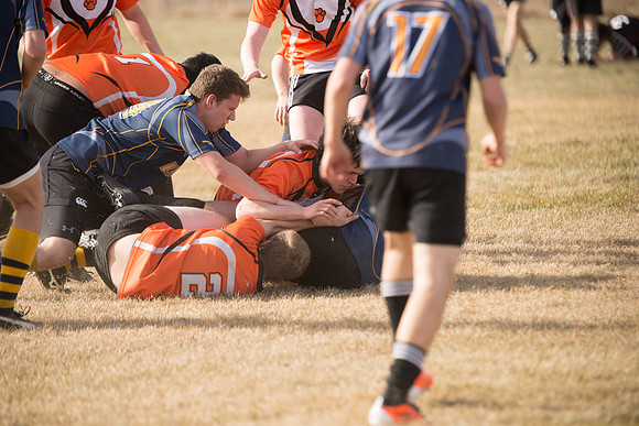 Rugby-7004