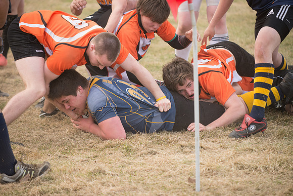 Rugby-7173