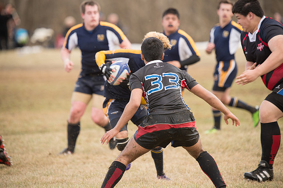 Rugby-7204