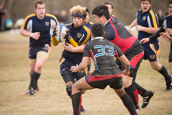 Rugby-7205