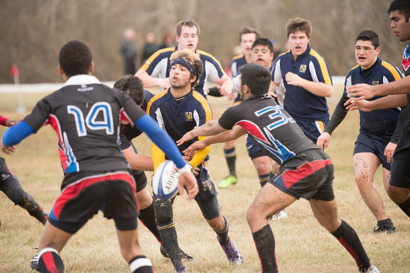 Rugby-7207
