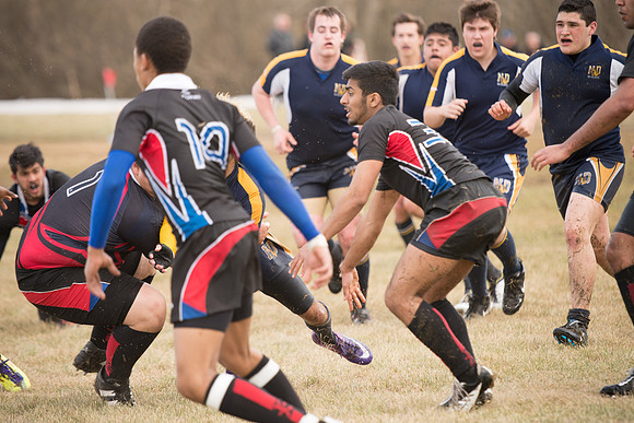 Rugby-7208
