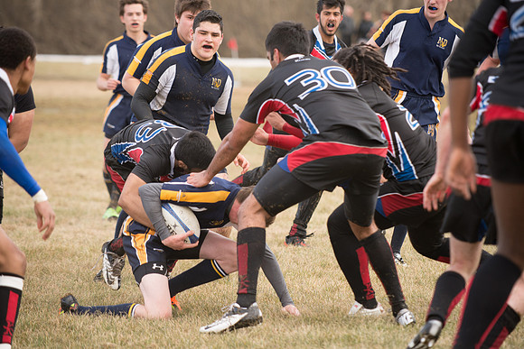 Rugby-7211