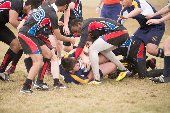 Rugby-7253