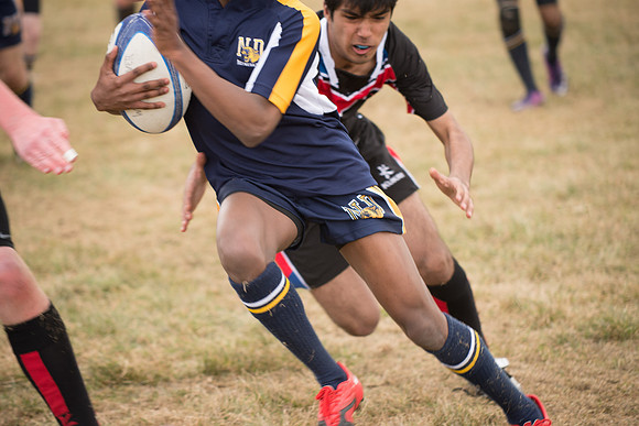 Rugby-7263