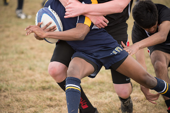Rugby-7264