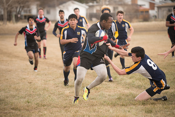 Rugby-7309