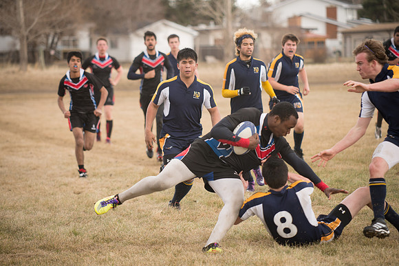 Rugby-7310