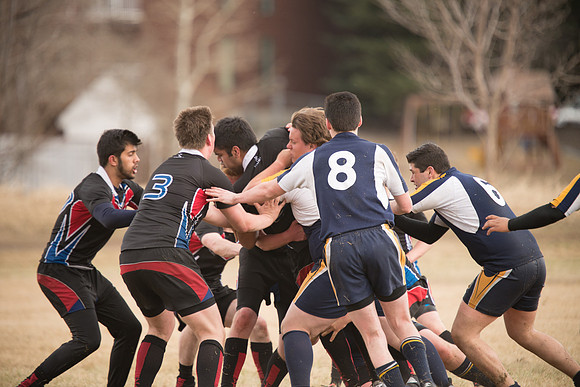 Rugby-7330