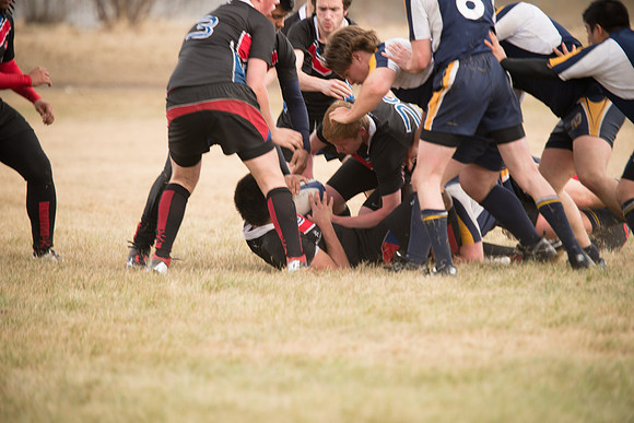 Rugby-7331