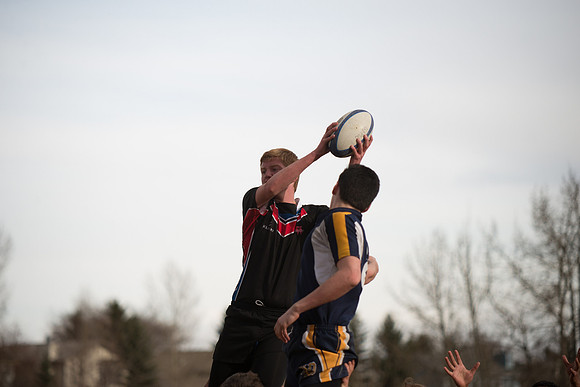 Rugby-7338