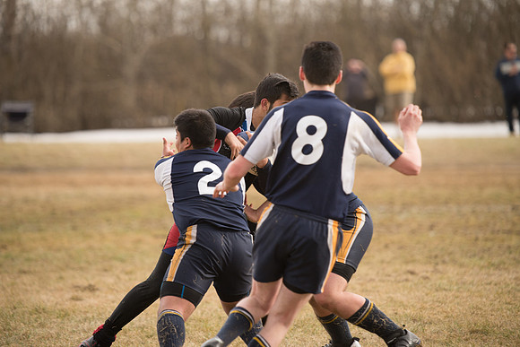 Rugby-7348