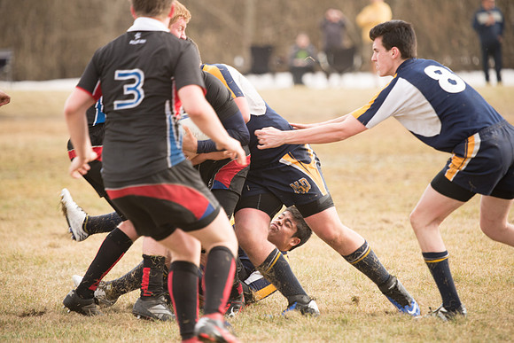 Rugby-7350